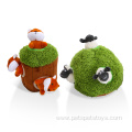 Seek toy plush sheep and squirrel dog toy